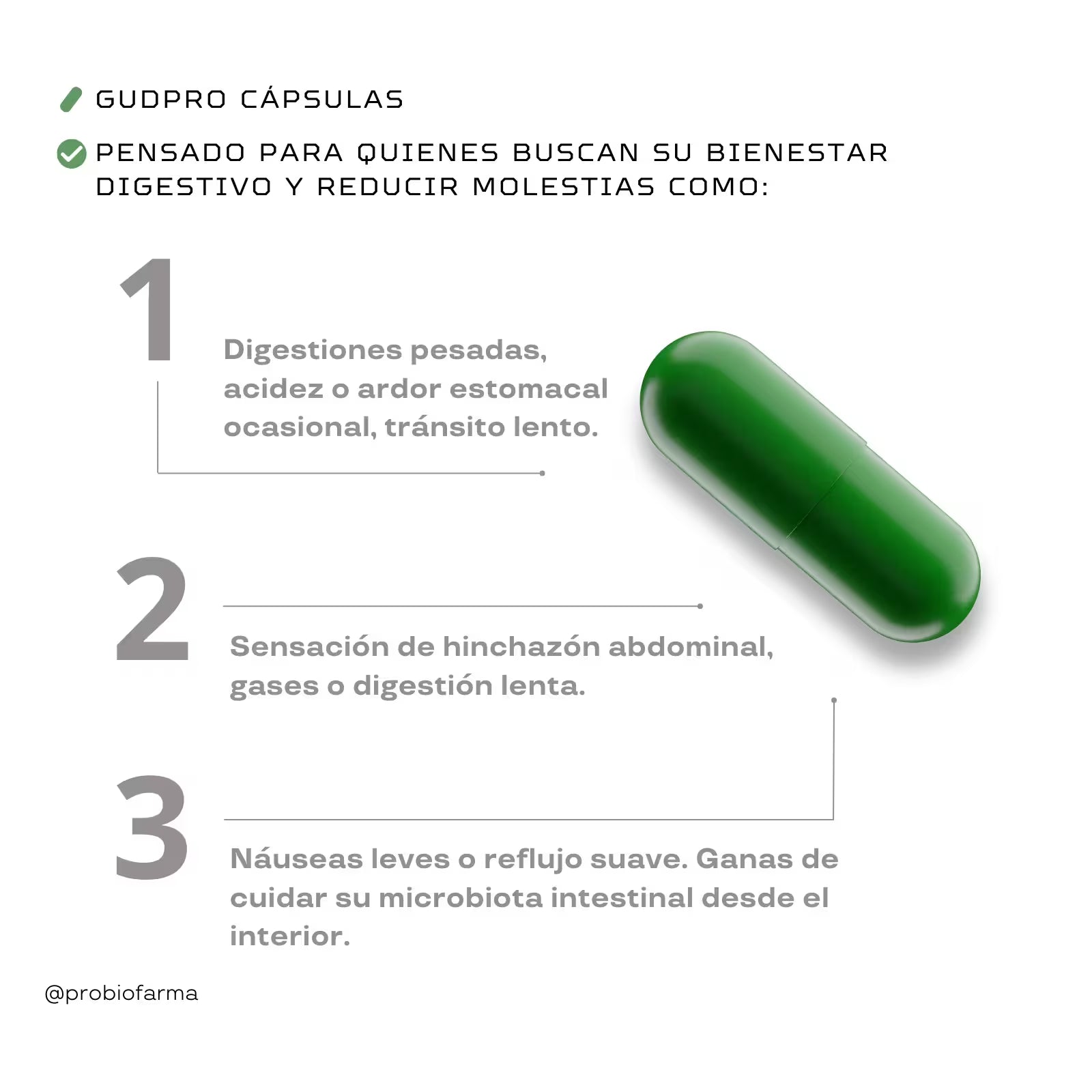 Probióticos Naturales para la microbiota beneficios gudpro