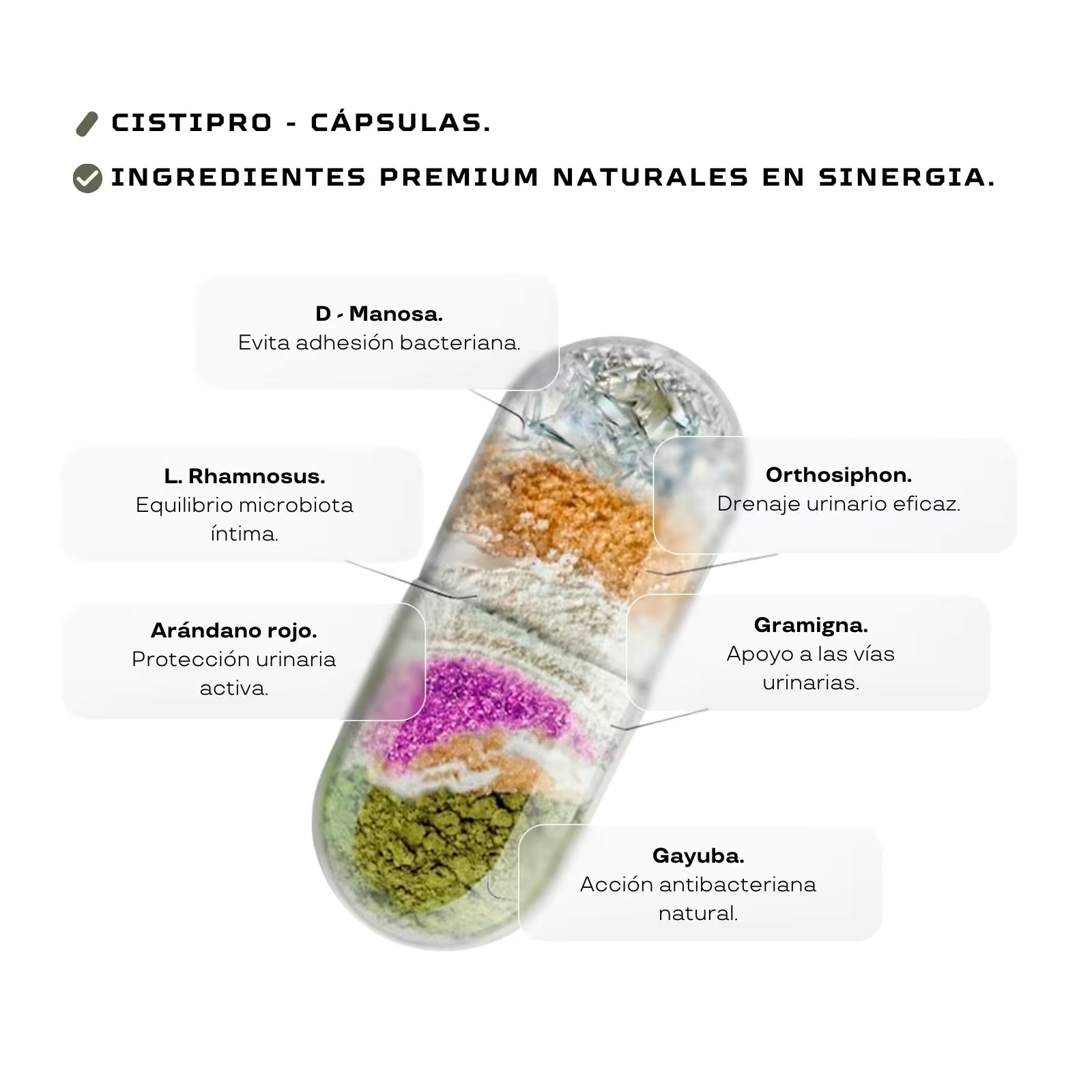 Pastillas para la cistitis sin receta con arandano rojo y d- manosa ingredientes