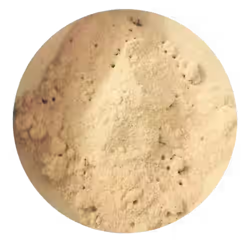 Gramigna ingrediente de Pastillas naturales cistitis cistipro