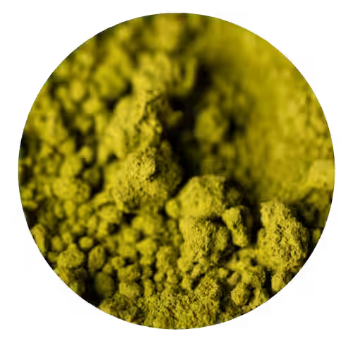 Gramigna ingrediente de Pastillas naturales cistitis cistipro