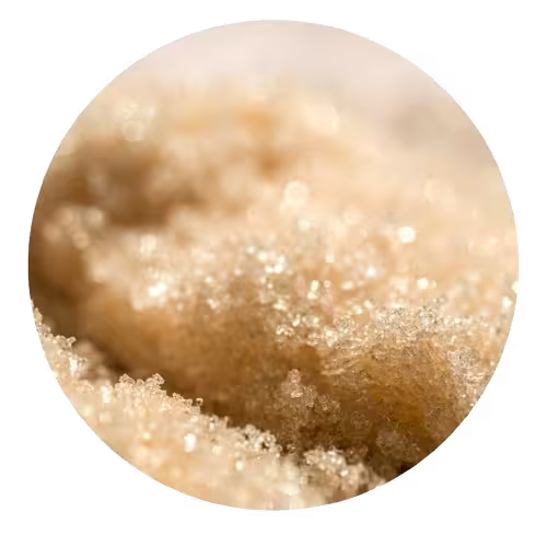 Ortosiphon ingrediente de pastillas infeccion de orina sin receta