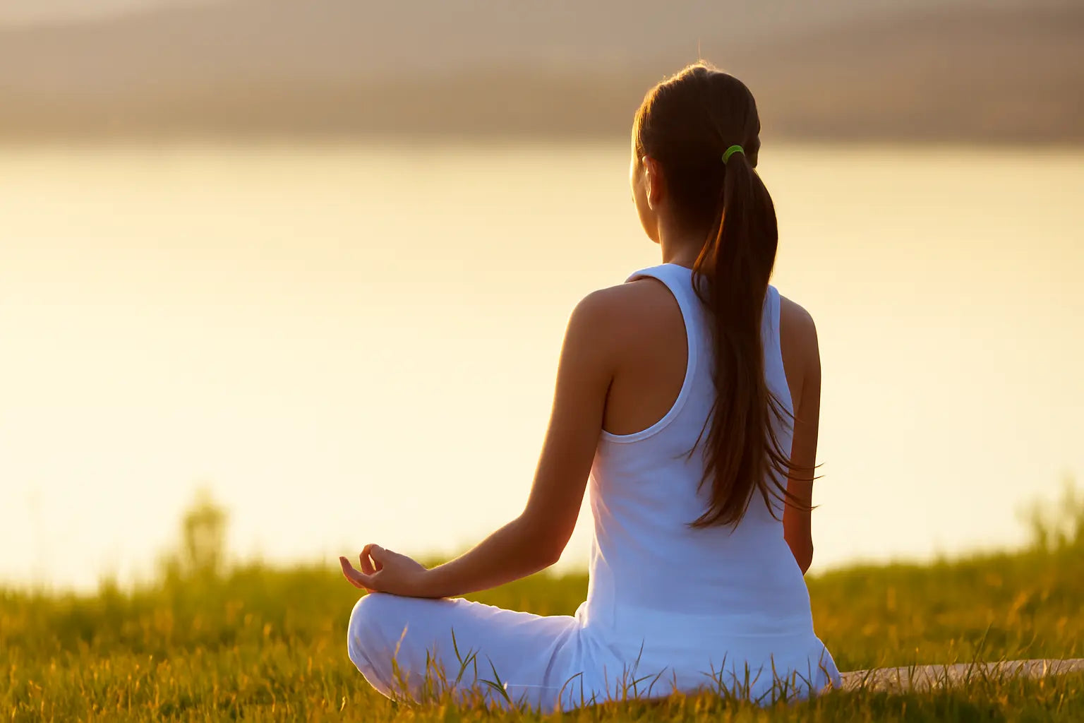 mejores suplementos naturales
