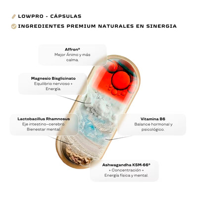 Pastillas naturales para Ansiedad y nervios ingredientes - Lowpro -