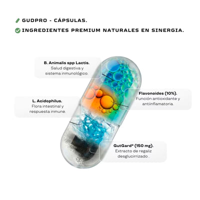 Probióticos Naturales para la flora intestinal ingredientes gudpro